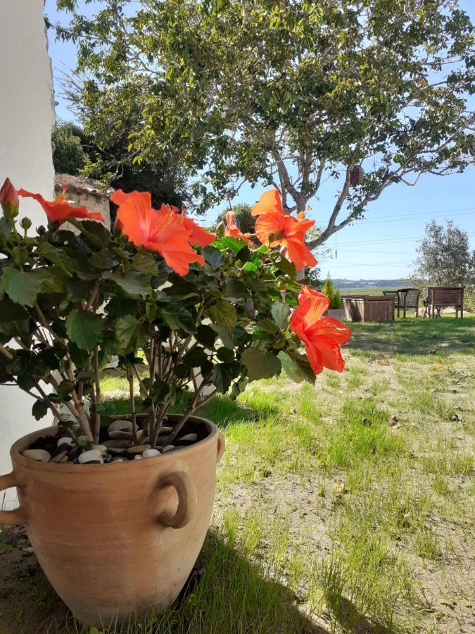 フィゲイラ・ダ・フォズ***** Quinta Do Por Do Sol *****アパートメント エクステリア 写真