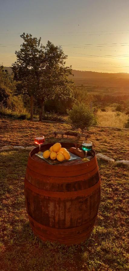 フィゲイラ・ダ・フォズ***** Quinta Do Por Do Sol *****アパートメント エクステリア 写真